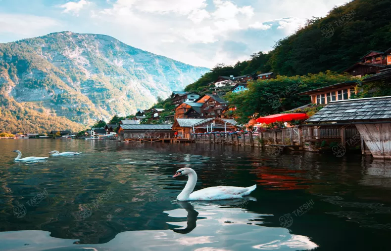 lake austria vienna